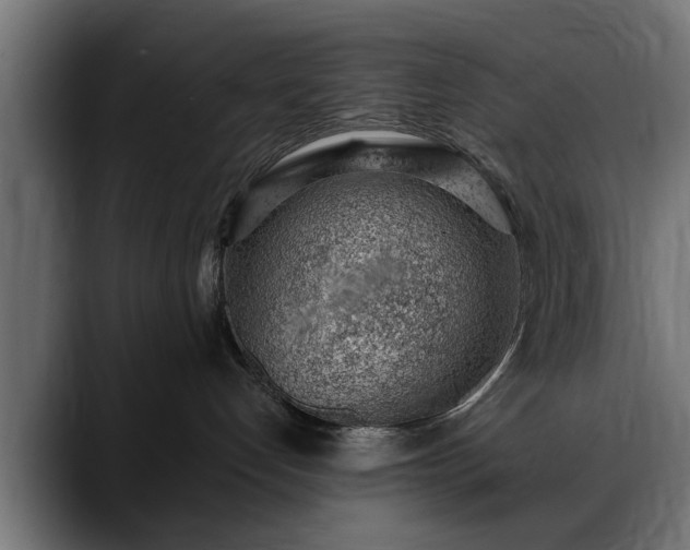 X0000088450192200705291519