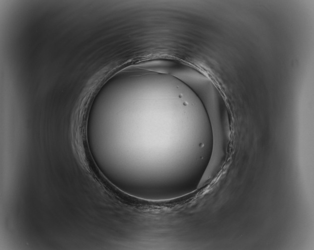 X0000088450193200705291518