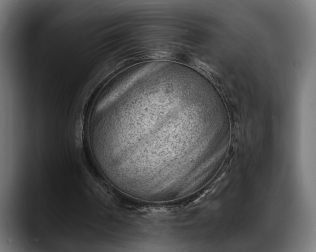 X0000088450194200705291518