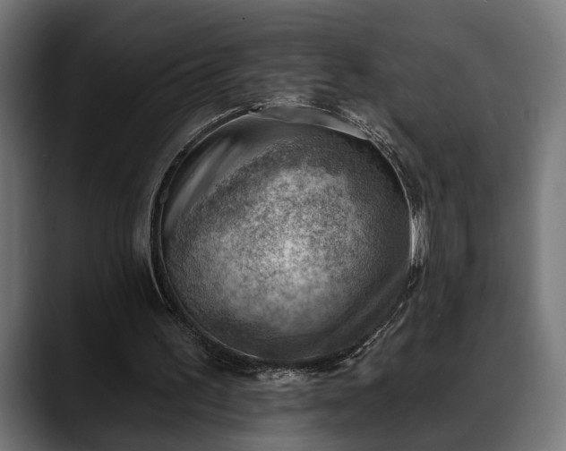 X0000088450195200705291518
