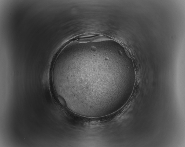 X0000088450196200705291518