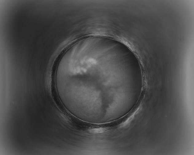 X0000088450199200705291518