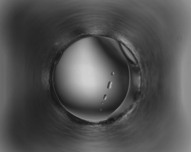 X0000088450201200705291518