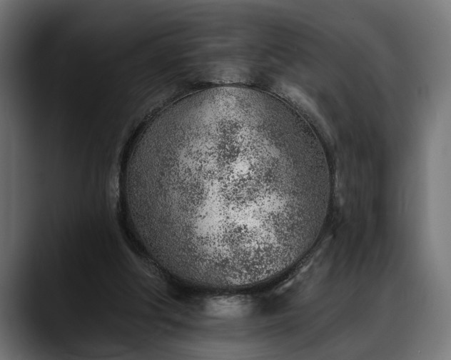 X0000088450202200705291518