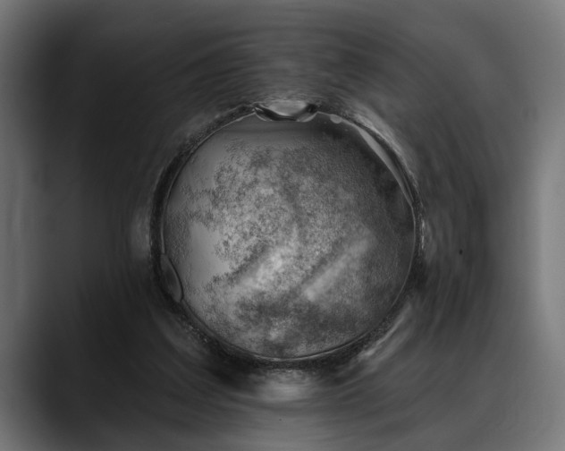 X0000088450203200705291518