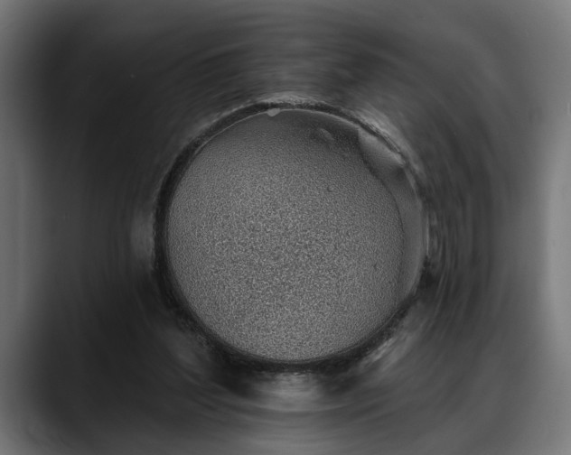 X0000088450204200705291518
