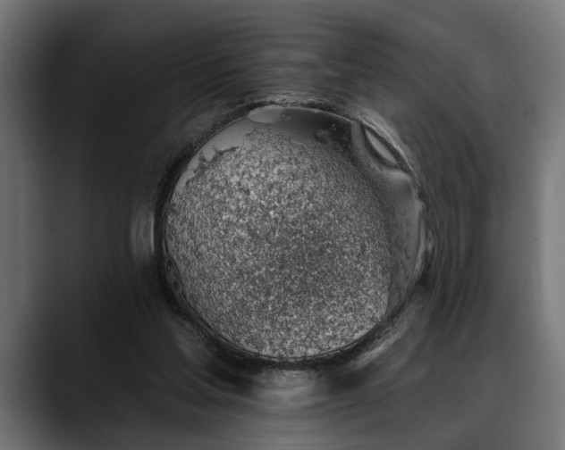 X0000088450205200705291518