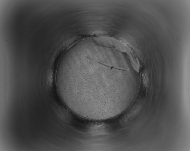 X0000088450206200705291518