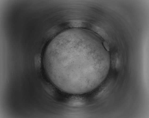 X0000088450207200705291518