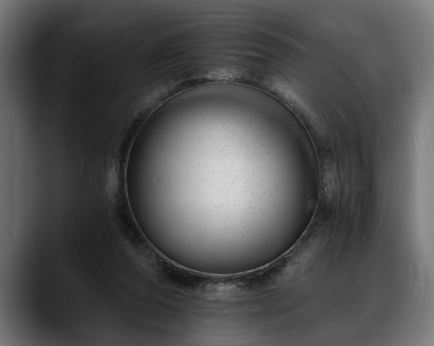 X0000088450208200705291518