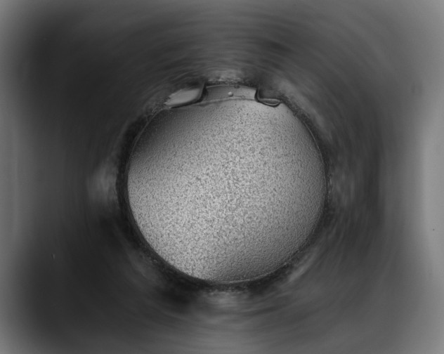 X0000088450209200705291518