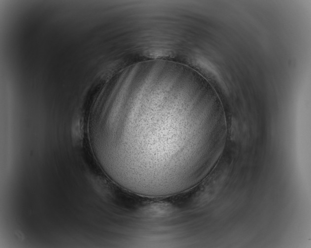 X0000088450210200705291518