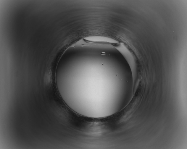X0000088450212200705291518