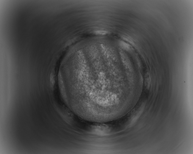 X0000088450215200705291518