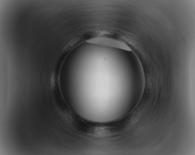 X0000088450216200705291518