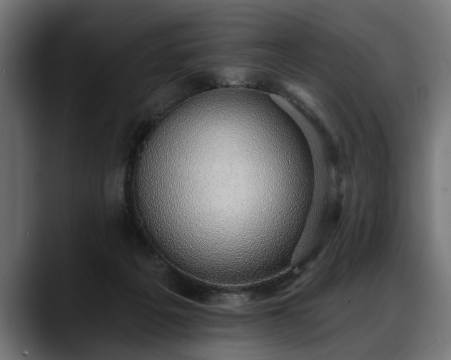 X0000088450217200705291518
