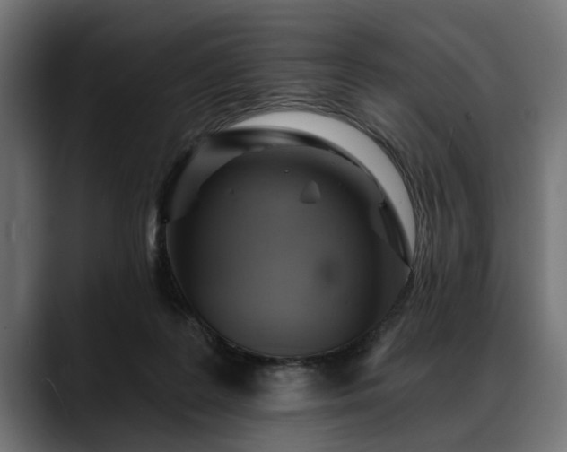 X0000088450219200705291518