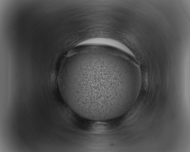 X0000088450222200705291518