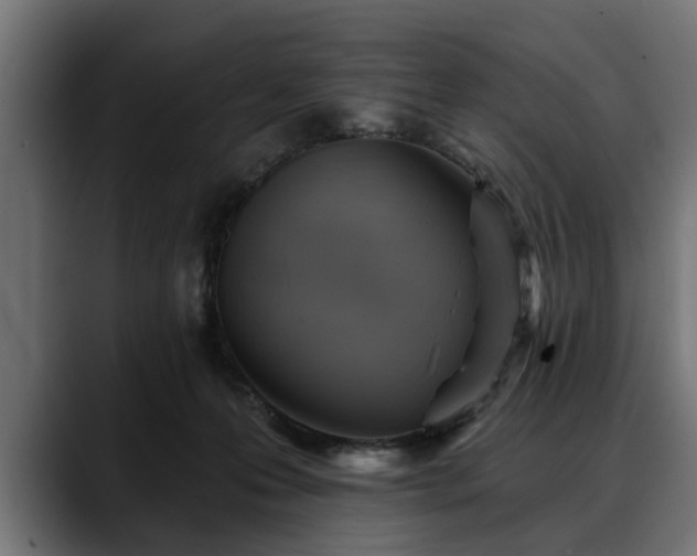 X0000088450223200705291518