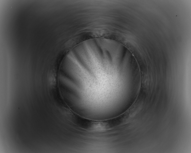 X0000088450226200705291518