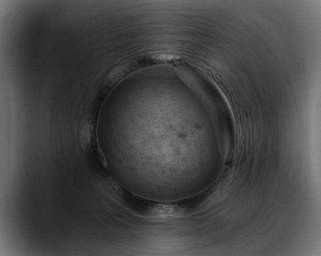 X0000088450227200705291518