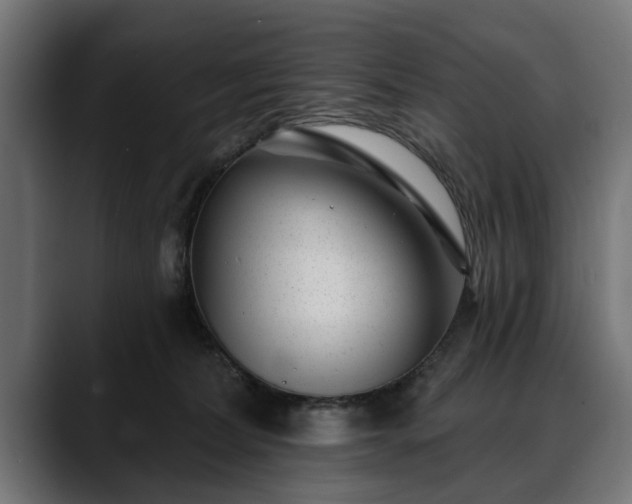 X0000088450228200705291518