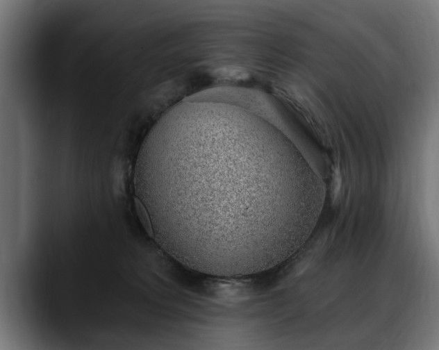 X0000088450229200705291518