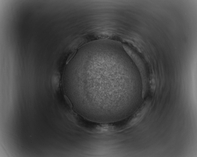X0000088450231200705291518