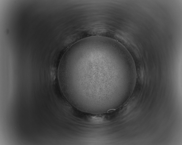 X0000088450232200705291518