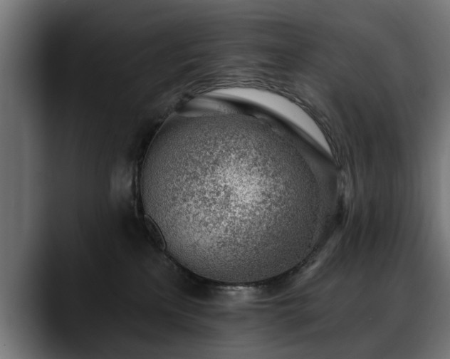 X0000088450233200705291518