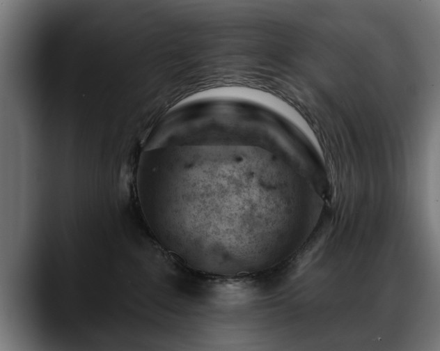 X0000088450235200705291518