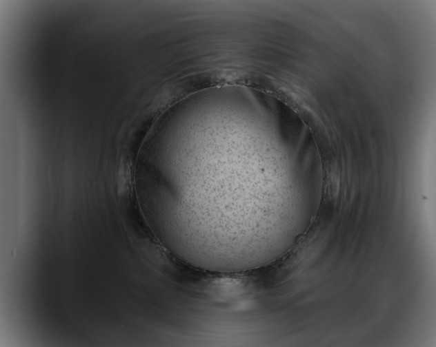 X0000088450236200705291518