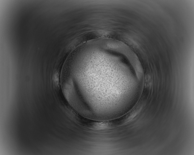 X0000088450238200705291518