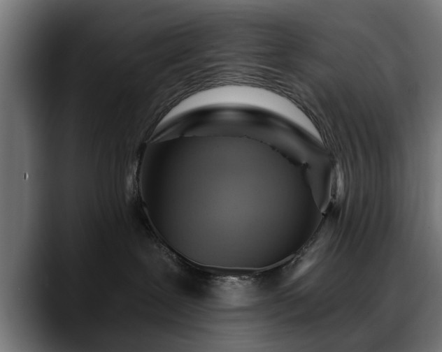 X0000088450239200705291518