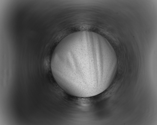 X0000088450240200705291518