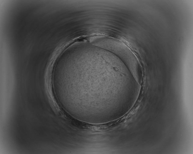 X0000088450241200705291517