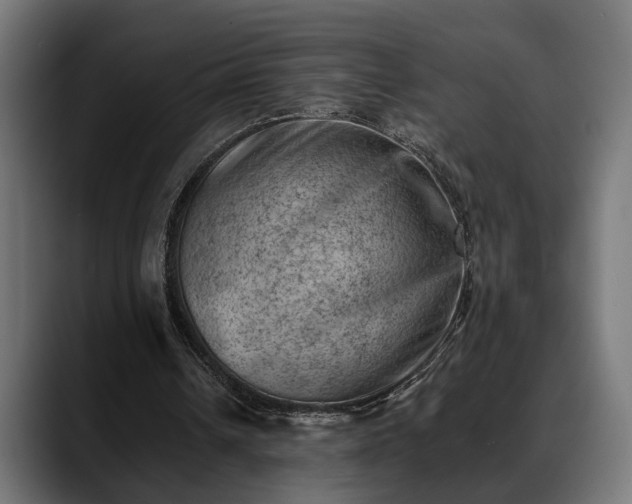 X0000088450242200705291517