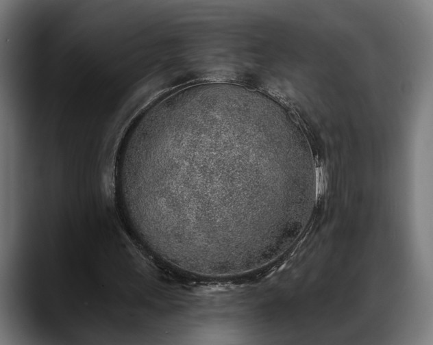 X0000088450243200705291517