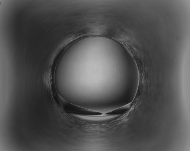 X0000088450244200705291517