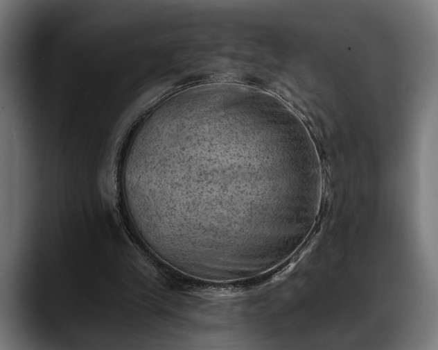 X0000088450245200705291517