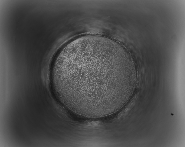 X0000088450247200705291517