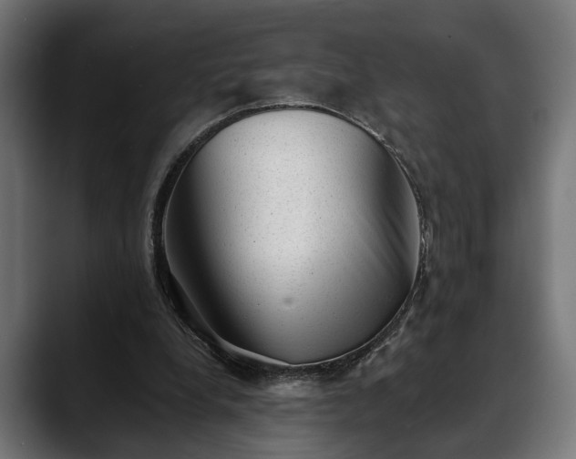 X0000088450248200705291517