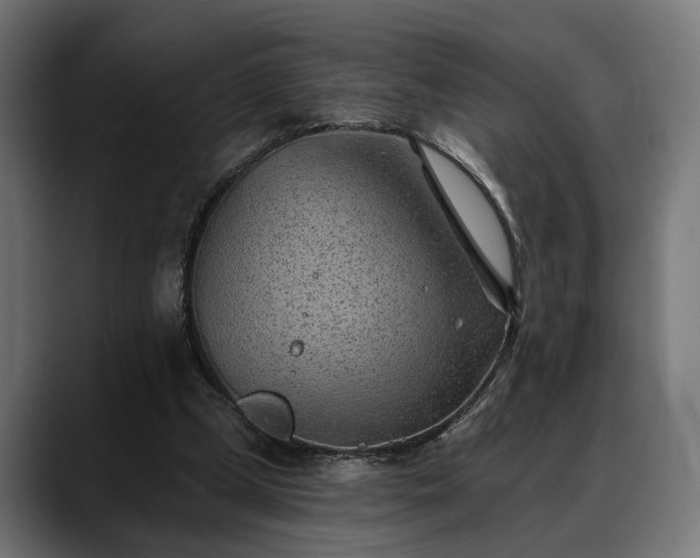 X0000088450249200705291517