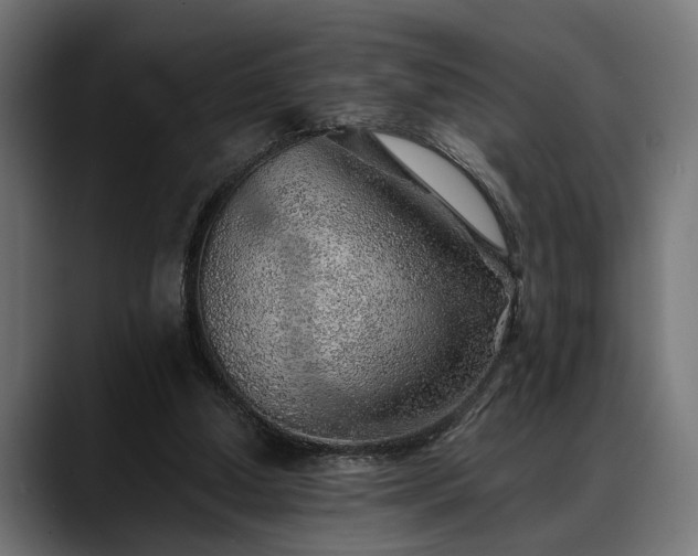 X0000088450250200705291517