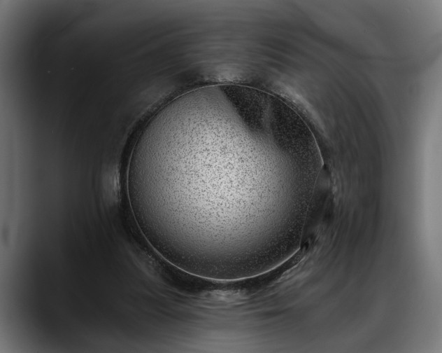 X0000088450251200705291518