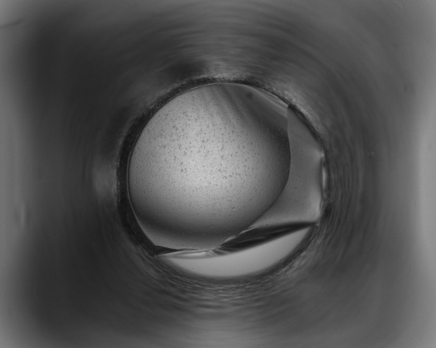 X0000088450252200705291518