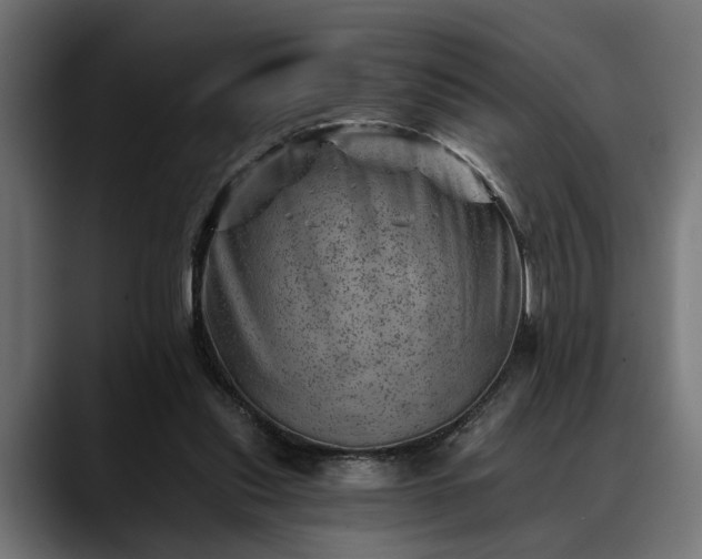 X0000088450253200705291518
