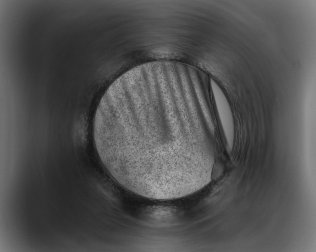 X0000088450255200705291518