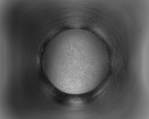 X0000088450258200705291518