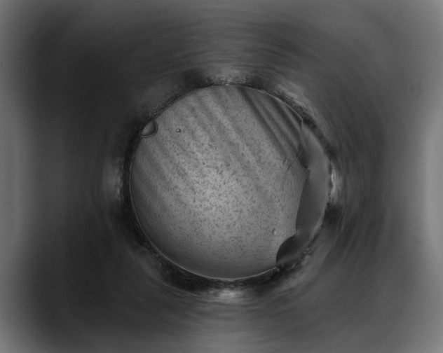 X0000088450259200705291518